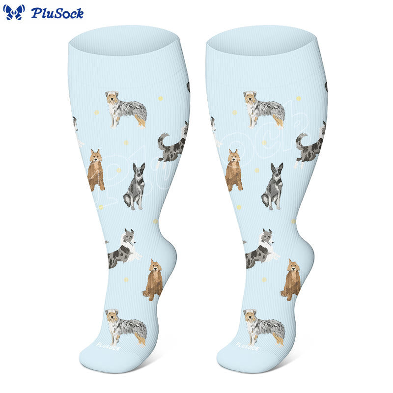 Chaussettes de compression pour chien paresseux grande taille (3 paires) - image 3