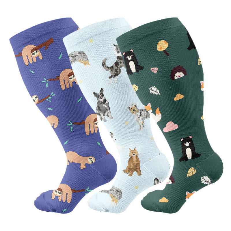 Chaussettes de compression pour chien paresseux grande taille (3 paires) - Multicolore - 4XL - image 1