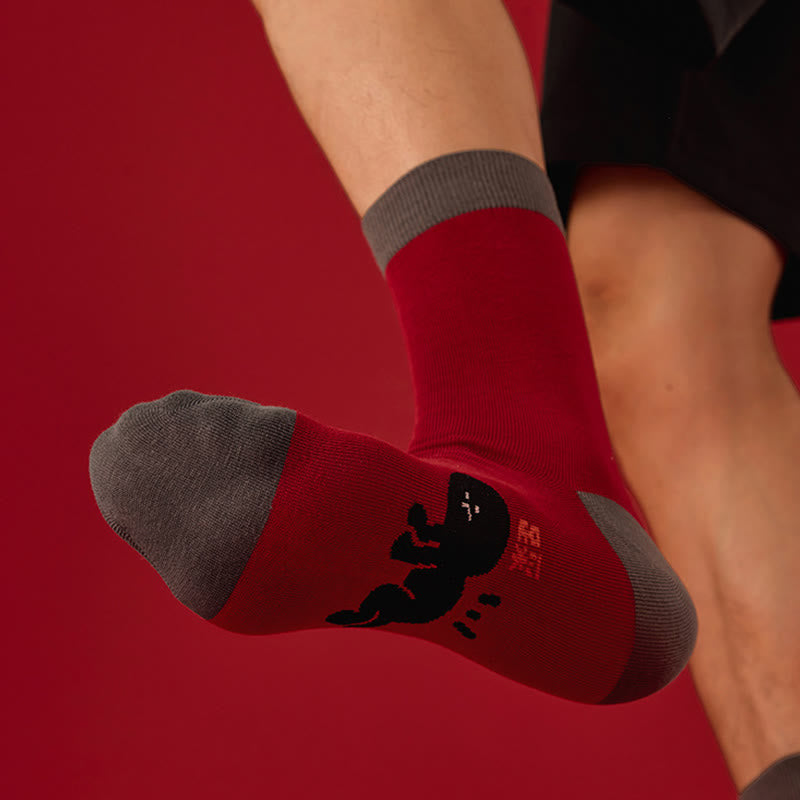 Chaussettes Good Fortune Quarter (5 paires) - image 8
