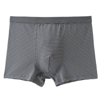 Boxers à rayures en coton - Gris - 9XL - image 1
