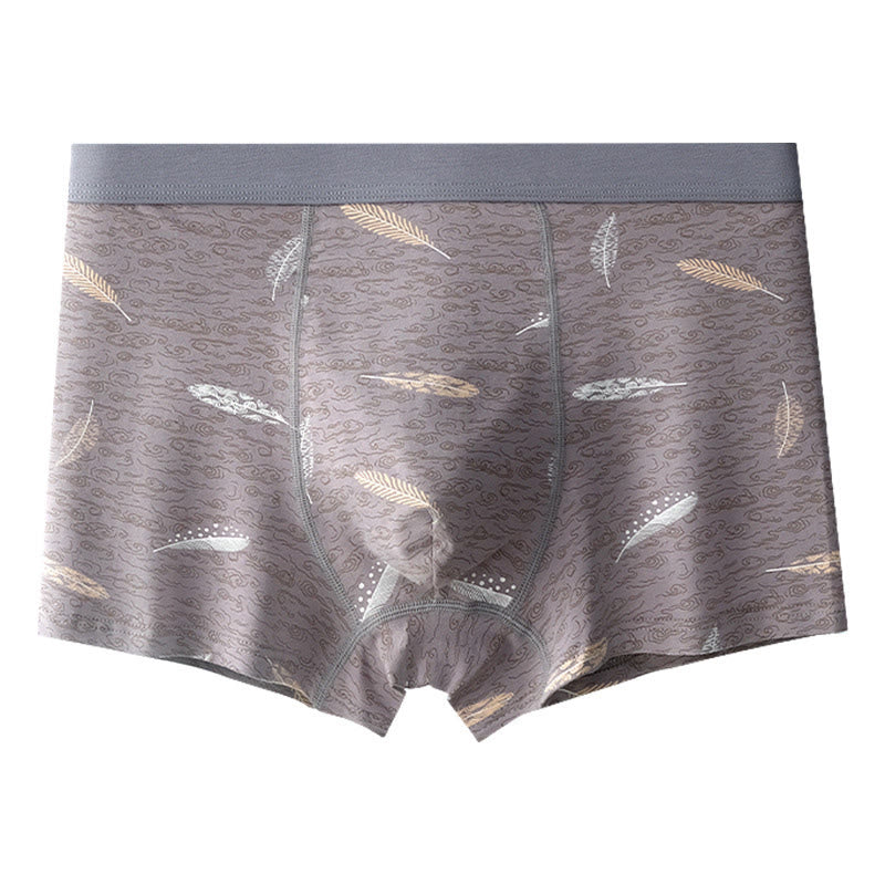 Boxers en coton et plumes - Gris - 9XL - image 6