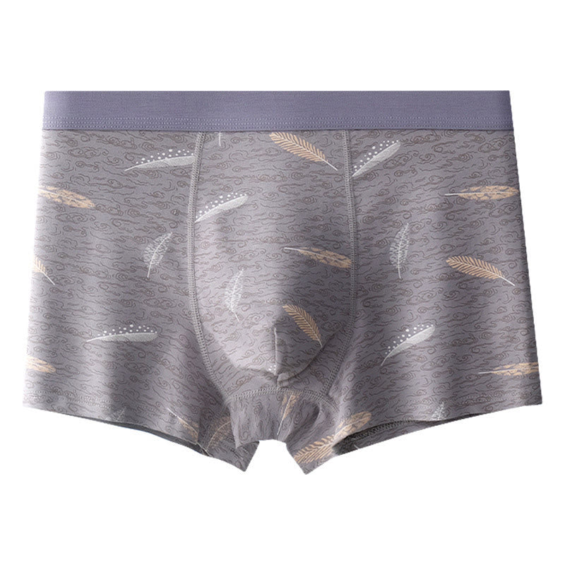 Boxers en coton et plumes - Gris clair - 9XL - image 7