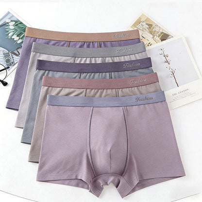 Boxers de couleur unie - image 2