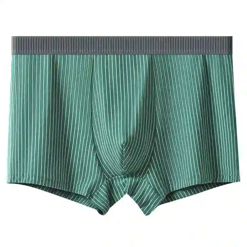Boxers à rayures classiques - Vert - 10XL - image 5