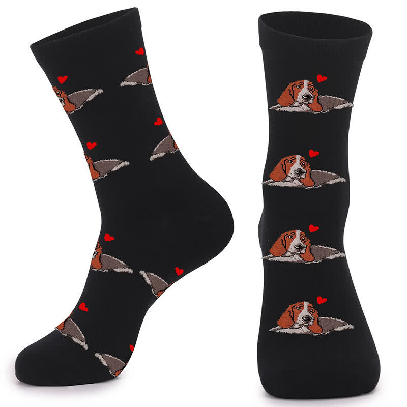 Chaussettes mignonnes et colorées pour chiens (4 paires) - image 1