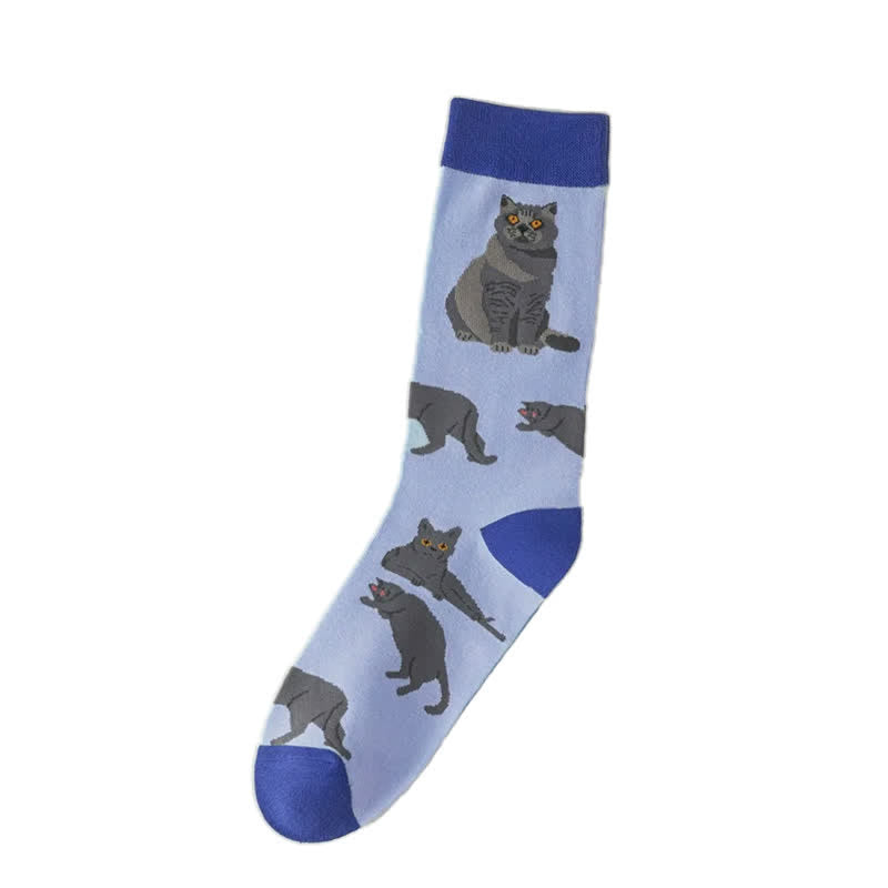 Chaussettes courtes à motif chat mignon (5 paires) - image 4