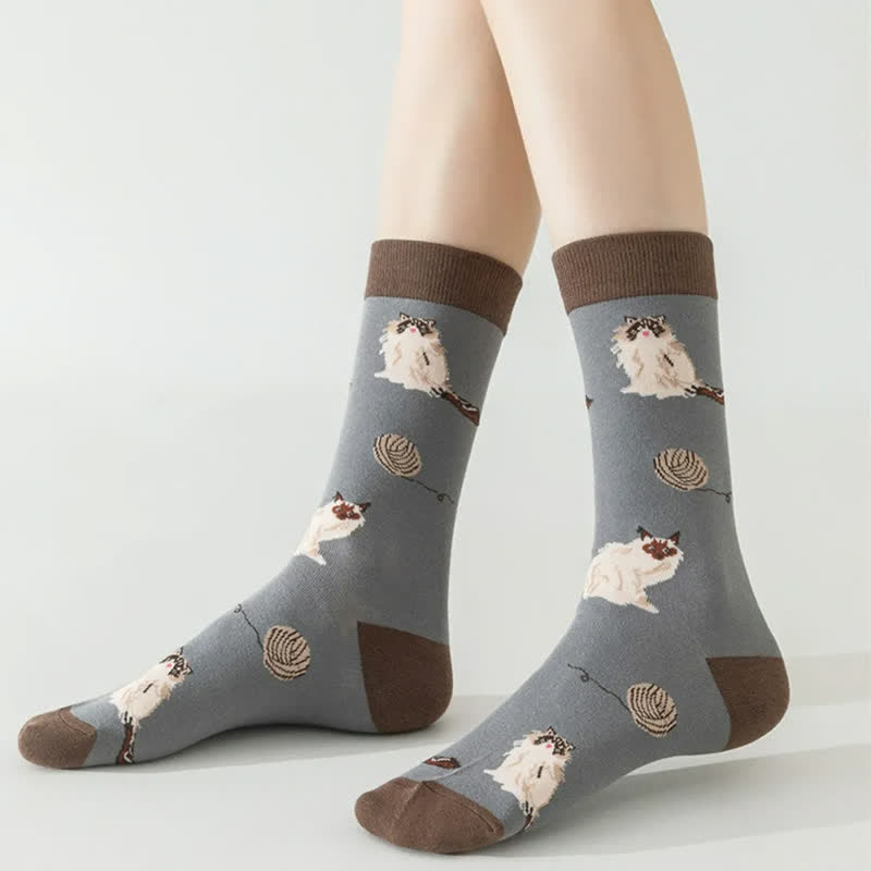 Chaussettes courtes à motif chat mignon (5 paires) - image 1