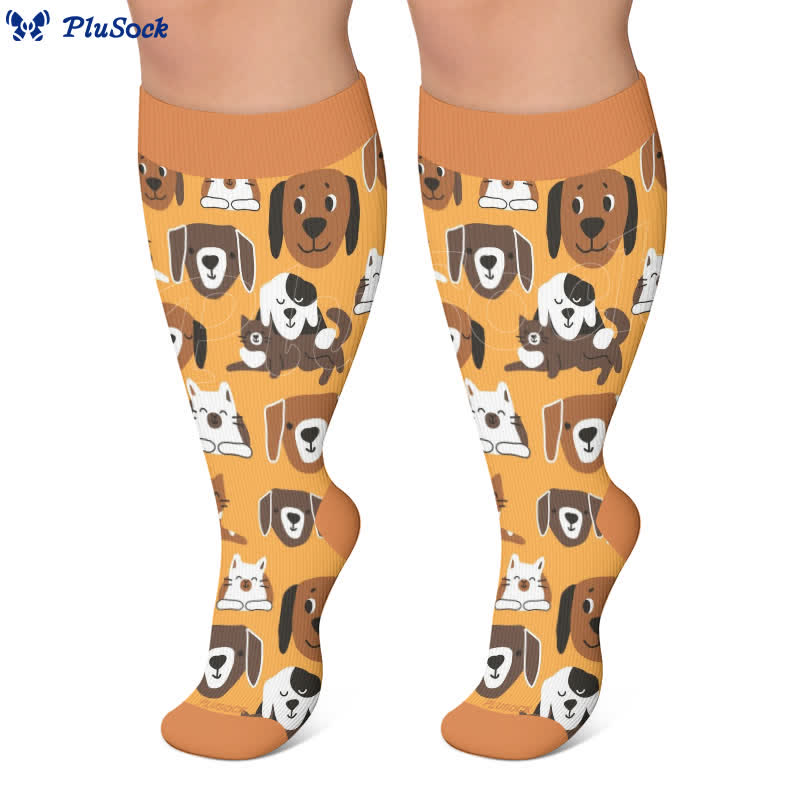 Lunettes de soleil grandes tailles, chaussettes de compression pour chien - image 2