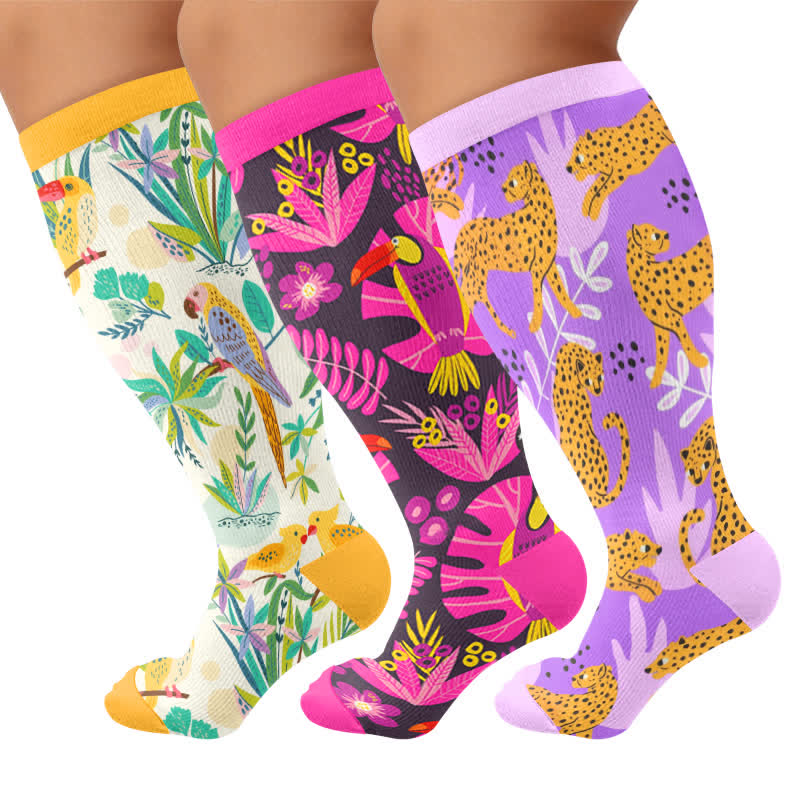 Chaussettes de compression grandes tailles à motif perroquet tropical - Multicolore (3 paires) - 4XL - image 4