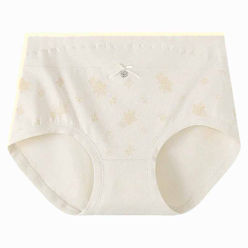 Culotte taille haute en coton à motif floral (lot de 2) - Abricot - XXXL - image 5