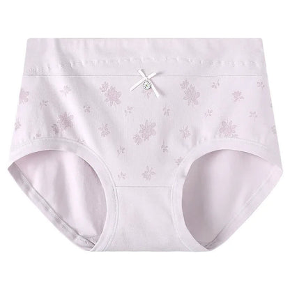 Culotte taille haute en coton à motif floral (lot de 2) - Violet clair - XXXL - image 6