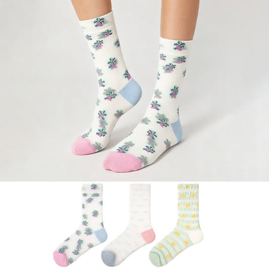 Chaussettes pastel transparentes de tous les jours (3 paires) - image 0