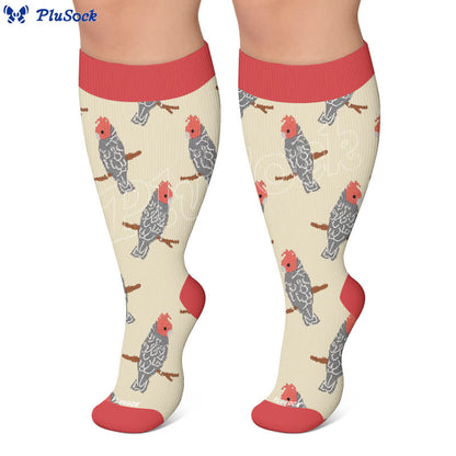 Chaussettes de compression Bird grande taille - image 7