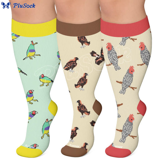 Chaussettes de compression Bird grande taille - image 0