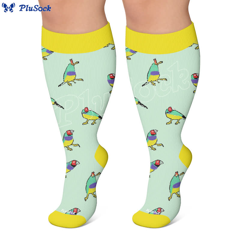 Chaussettes de compression Bird grande taille - image 5