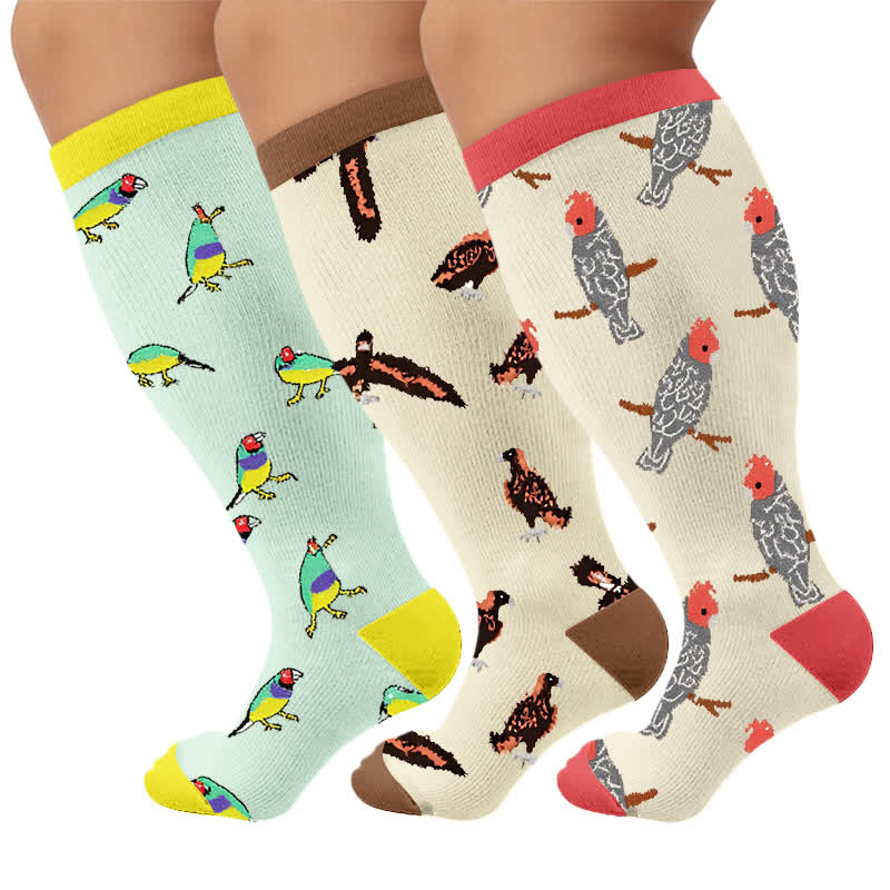Chaussettes de compression Bird grande taille - Multicolore (3 paires) - 4XL - image 4