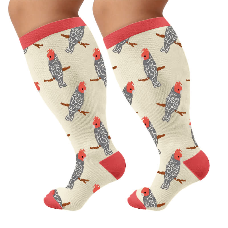 Chaussettes de compression Bird grande taille - Rouge (1 paire) - 4XL - image 10