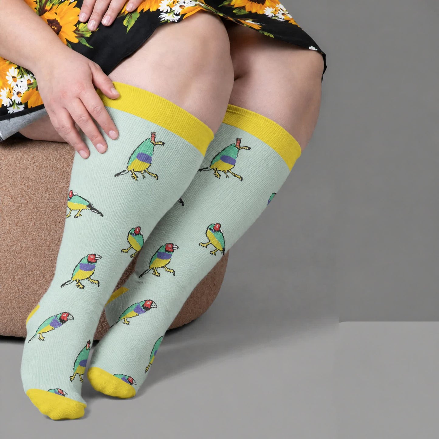 Chaussettes de compression Bird grande taille - image 1