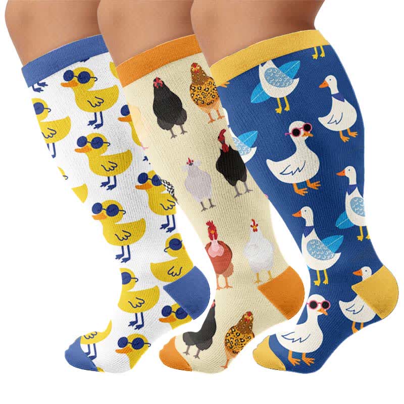 Chaussettes de compression grandes tailles à motif d'oiseaux de la ferme - Multicolore (3 paires) - 4XL - image 4