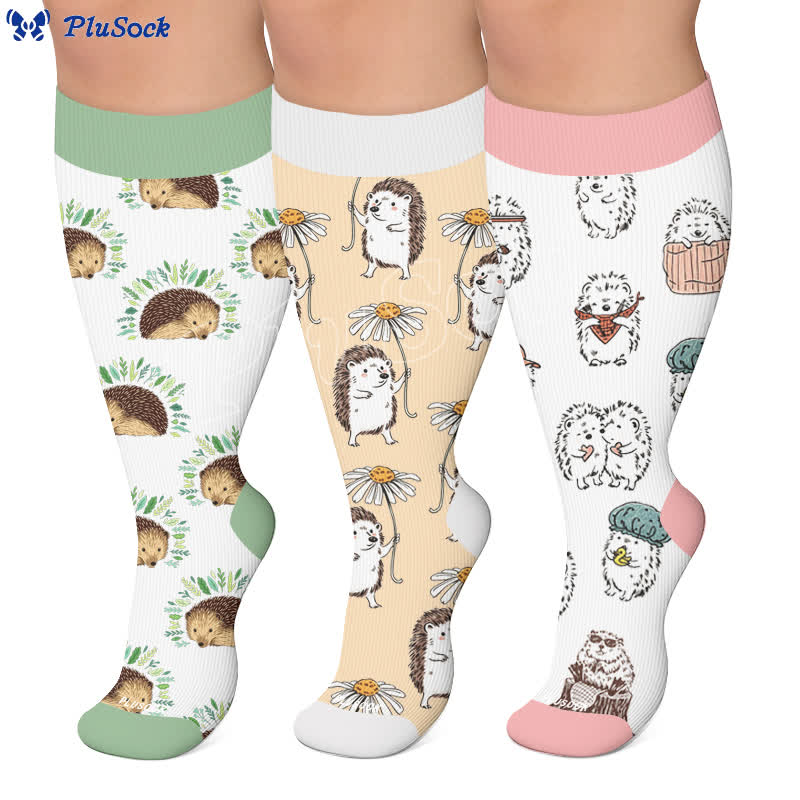 Chaussettes de compression hérisson grande taille - image 4