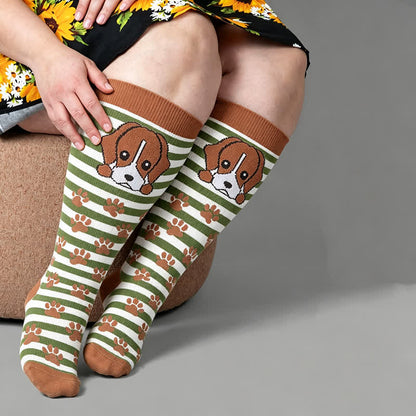 Chaussettes de compression rayées pour chien grande taille - Orange (1 paire) - 4XL - image 2