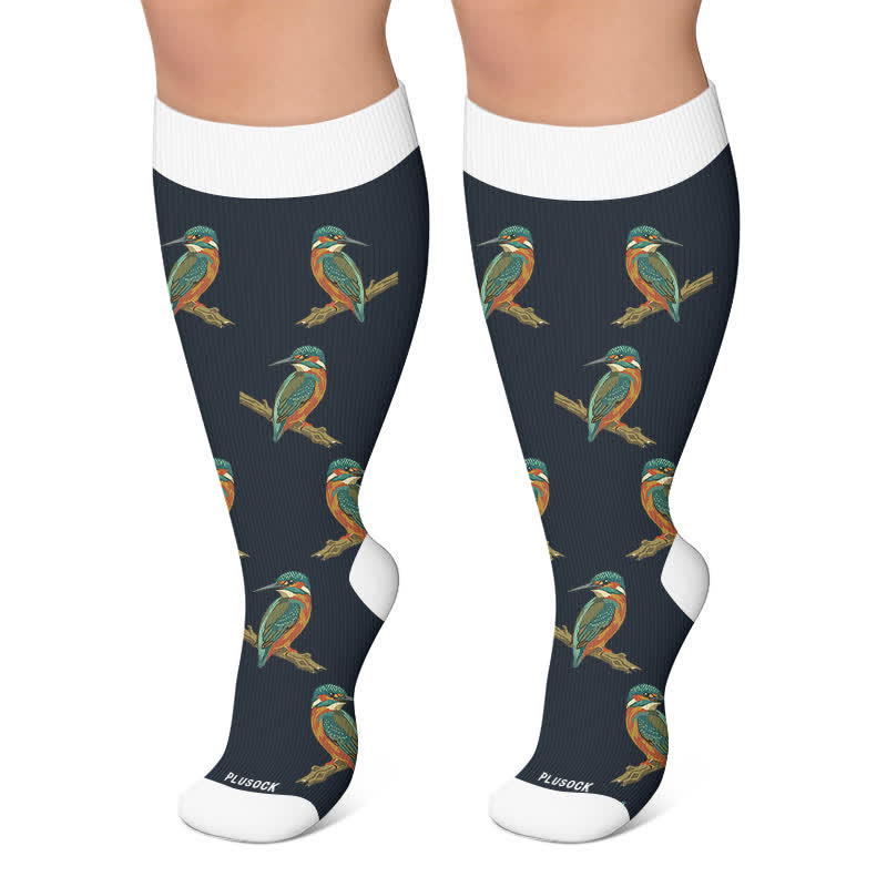 Chaussettes de compression grandes tailles à motif chat et oiseau - Noir - 4XL - image 5
