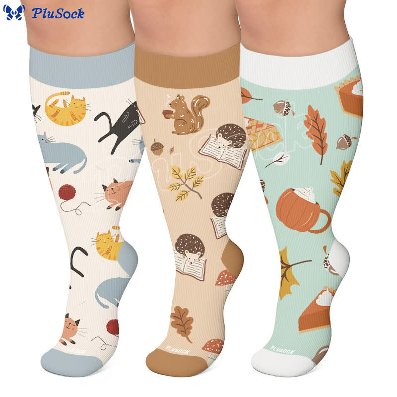 Chaussettes de compression grandes tailles à motifs chats et hérissons d'automne - image 0