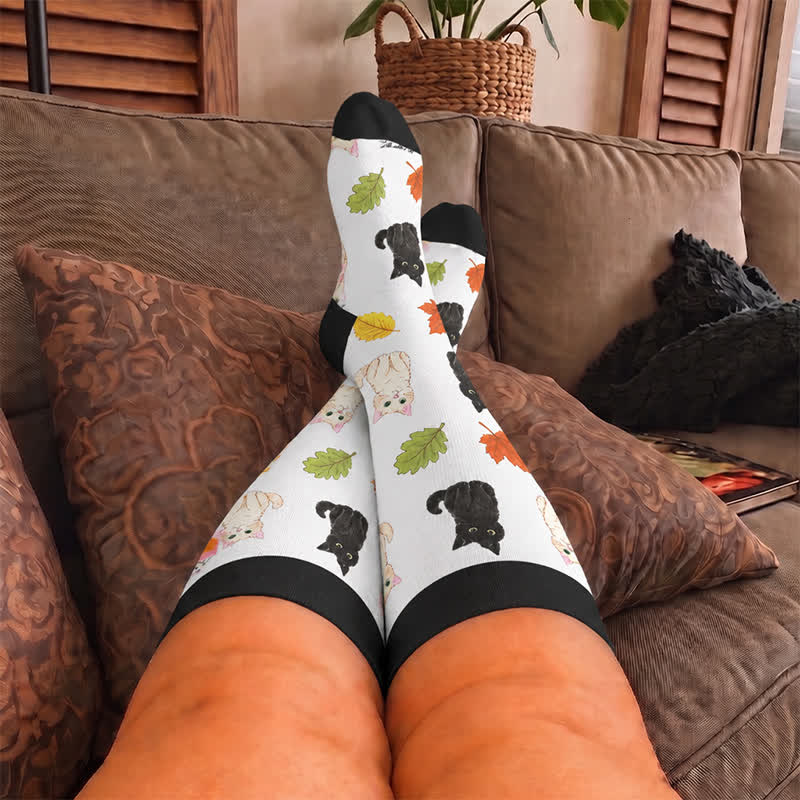 Chaussettes de compression grande taille Automne Chat Grenouille - image 1
