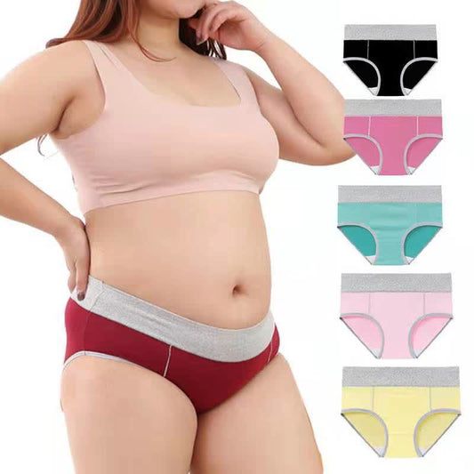 Culotte antibactérienne taille haute en coton grande taille (5 paires)