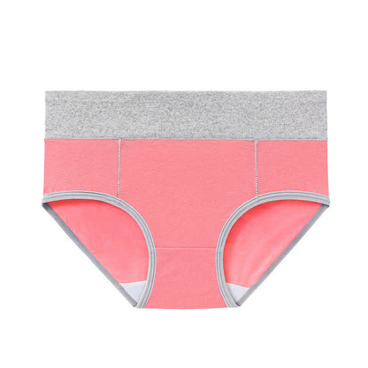 Culotte antibactérienne taille haute en coton grande taille (5 paires)