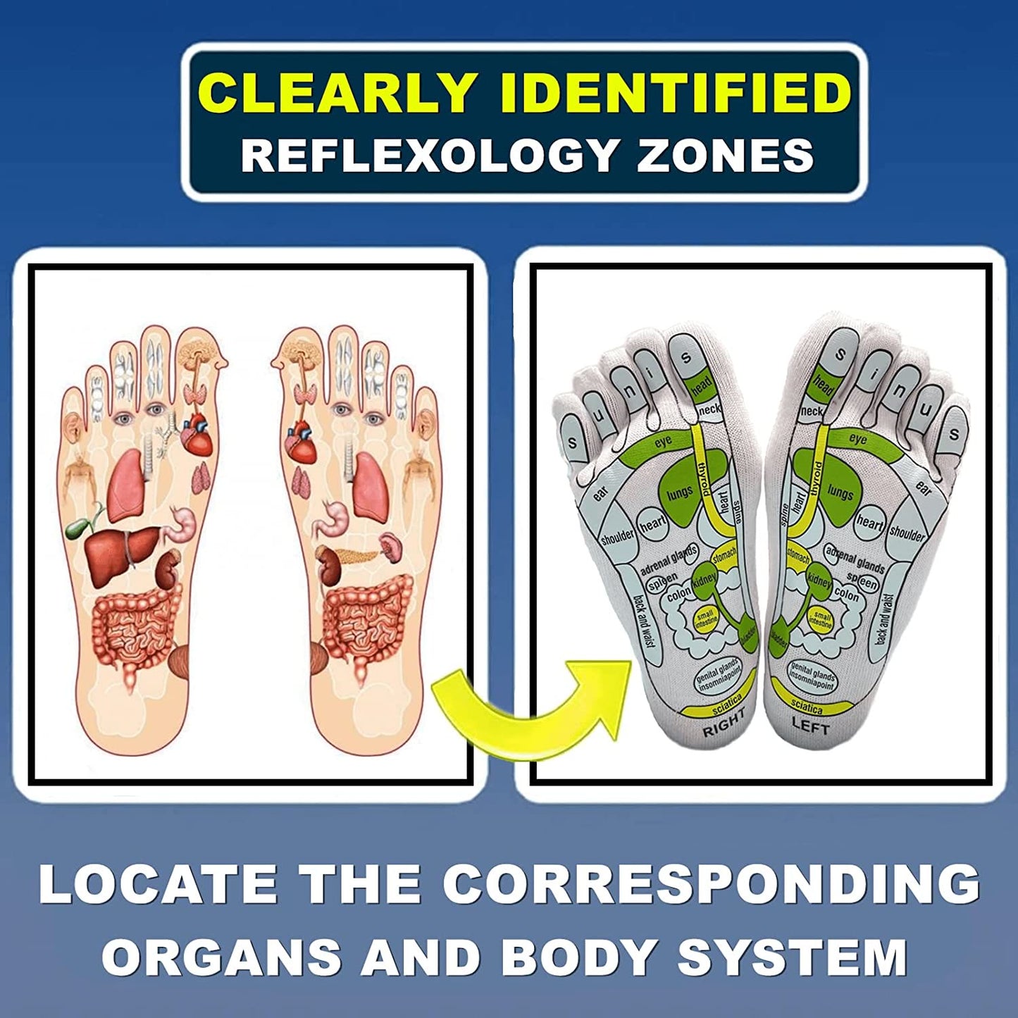 Chaussettes d'acupression, physiothérapie, massage, soulagement de la fatigue - image 3