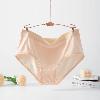 Culotte extensible taille haute simple (paquet de 4) - Abricot - 6XL - image 5