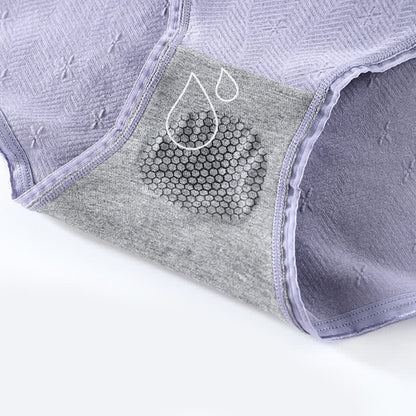 Culotte antibactérienne taille haute (6 paires) - image 3