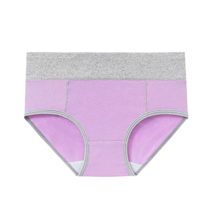 Culotte antibactérienne taille haute en coton grande taille (5 paires)