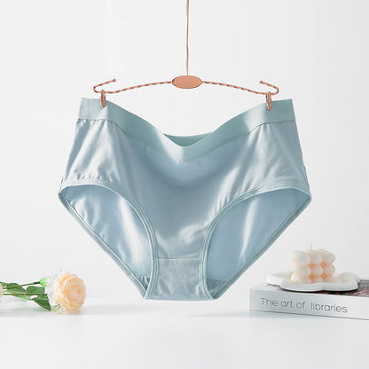 Culotte extensible taille haute simple (paquet de 4) - Bleu clair - 6XL - image 15