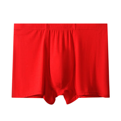 Boxer taille haute en modal grande taille (1 paire)