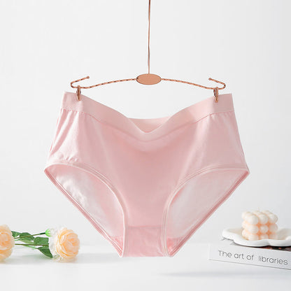 Culotte extensible taille haute simple (paquet de 4) - Rose - 6XL - image 3