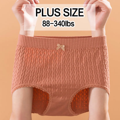 Culotte taille haute avec nœud papillon grande taille (5 paires)