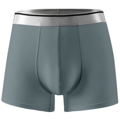Culotte ultra-fine en soie glacée grande taille (1 paquet)