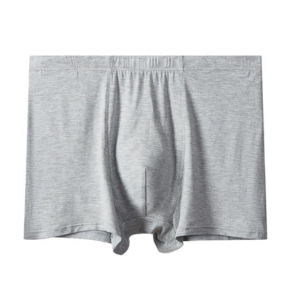 Boxer taille haute en modal grande taille (1 paire)