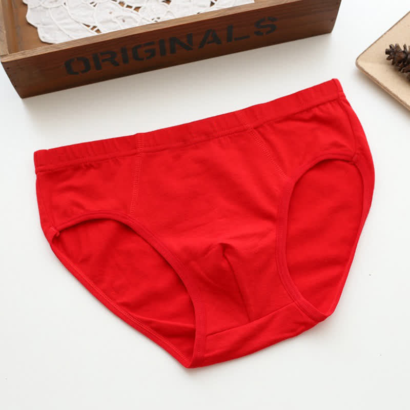 Lot de 2 slips taille haute en coton extensible uni - Rouge - 6XL - image 9
