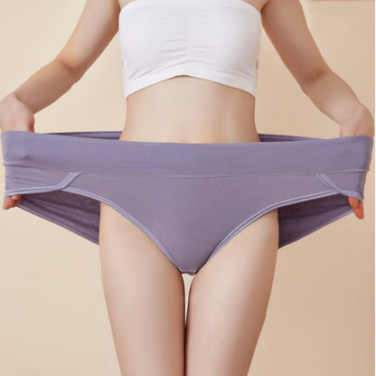 Culotte antibactérienne taille haute grande taille (6 paires)