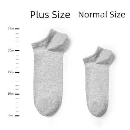 Chaussettes cheville 100% coton (6 paires) - image 3