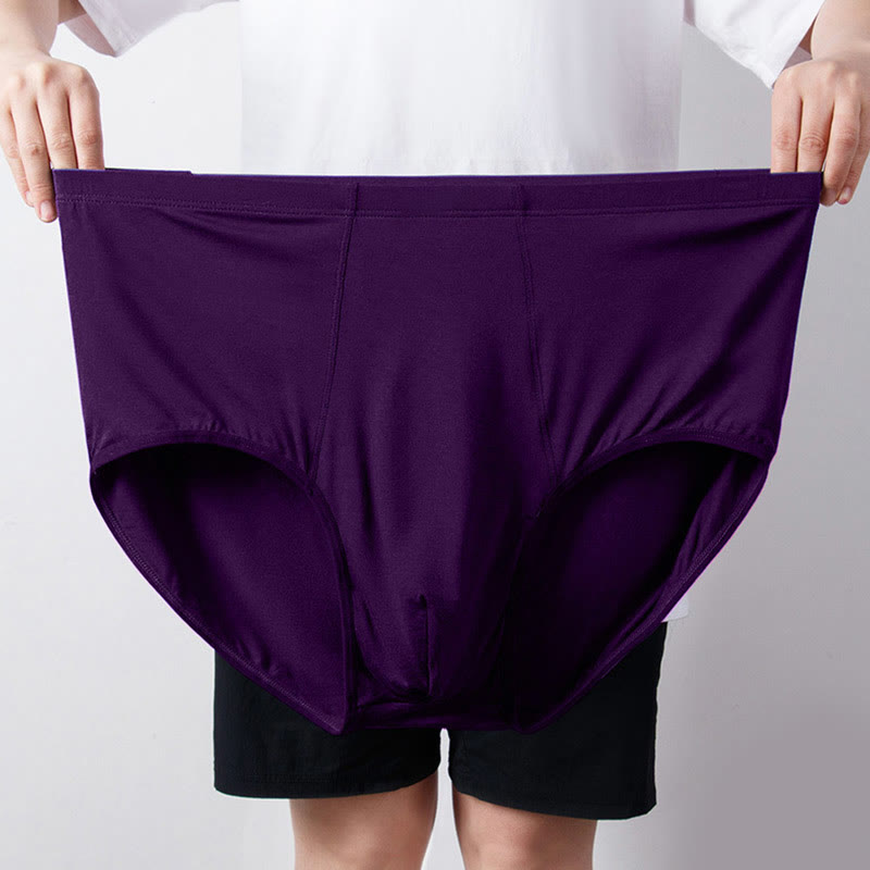 Culotte taille haute grande taille (1 paire) - Violet - 8XL - image 5