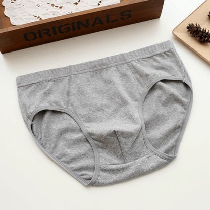 Lot de 2 slips taille haute en coton extensible uni - Gris - 6XL - image 1