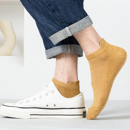 Chaussettes en coton multicolores Plusock (3 paires) - image 3