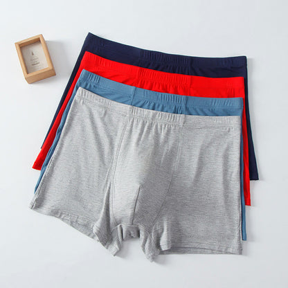 Boxer taille haute en modal grande taille (1 paire)