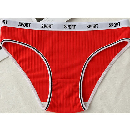 Culotte antibactérienne taille haute en coton grande taille (lot de 4)