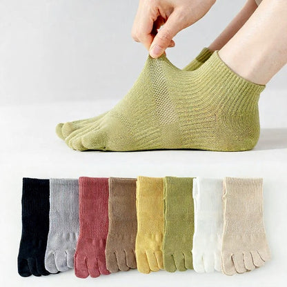 Chaussettes d'alignement quotidiennes (8 paires) - Multicolore - EU36-40(US3-7) - image 0